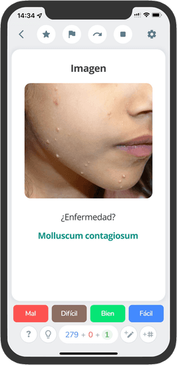 Flashcard en móvil